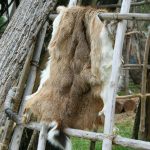 lignosulphonate Malaysia